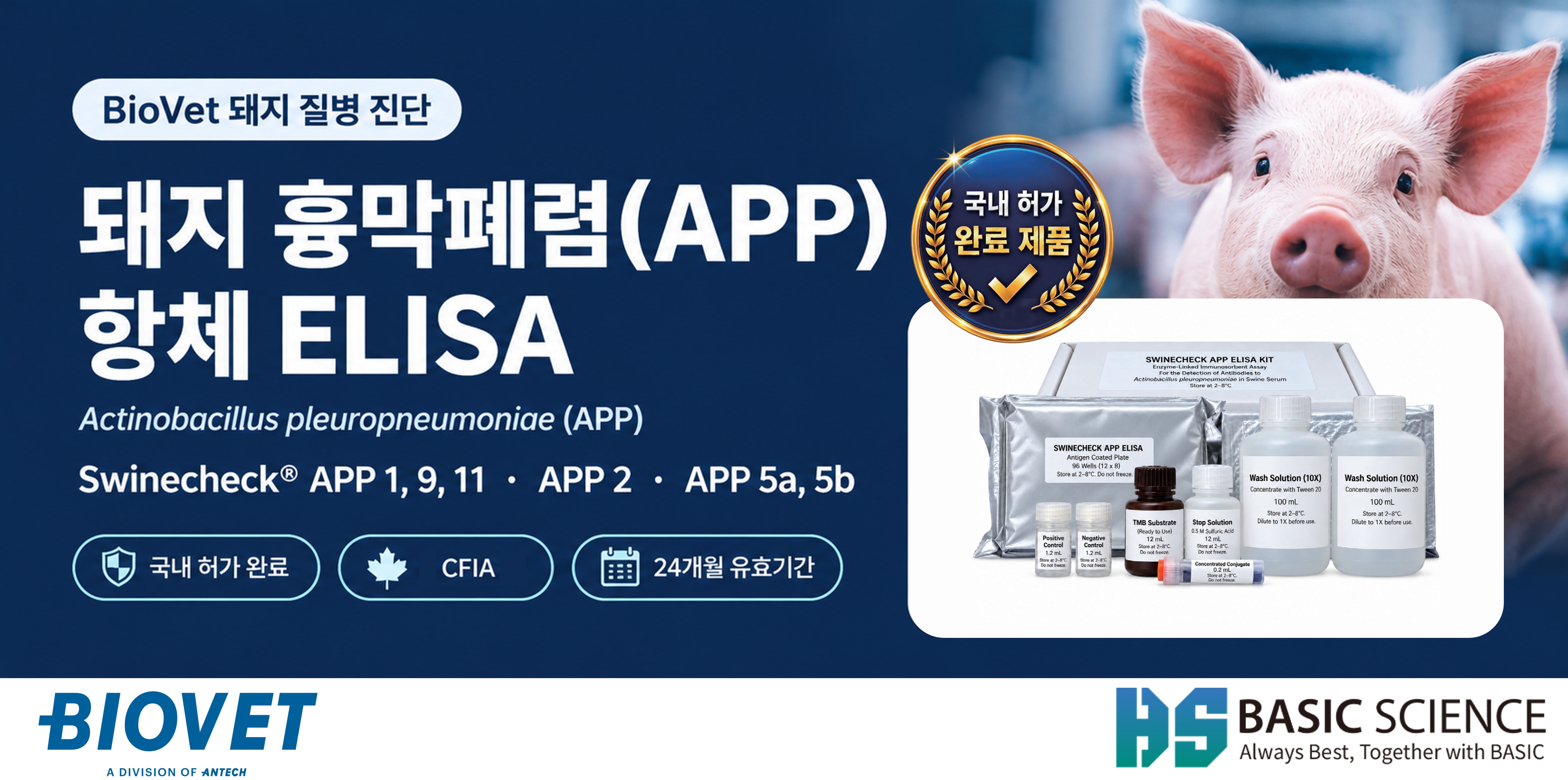 [Biovet] 돼지 흉막폐렴(APP) 항체 ELISA 국내 허가 완료! | Biovet Swinecheck® APP